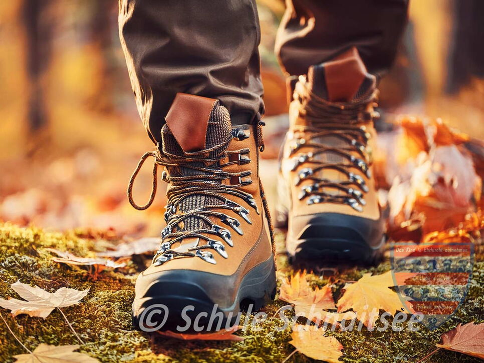 Wir gehen zum Wandern!